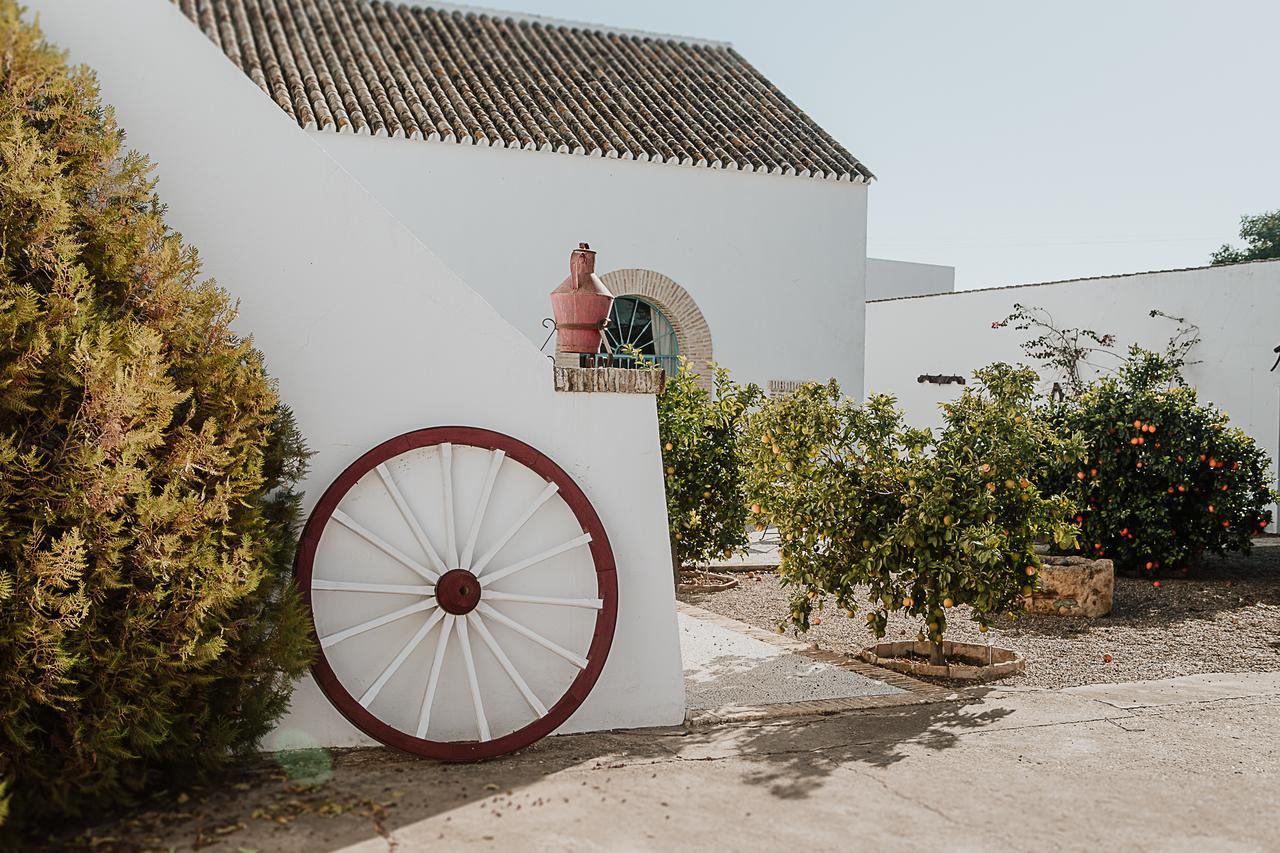 Cortijo Santa Clara Villa Carmona  Ngoại thất bức ảnh